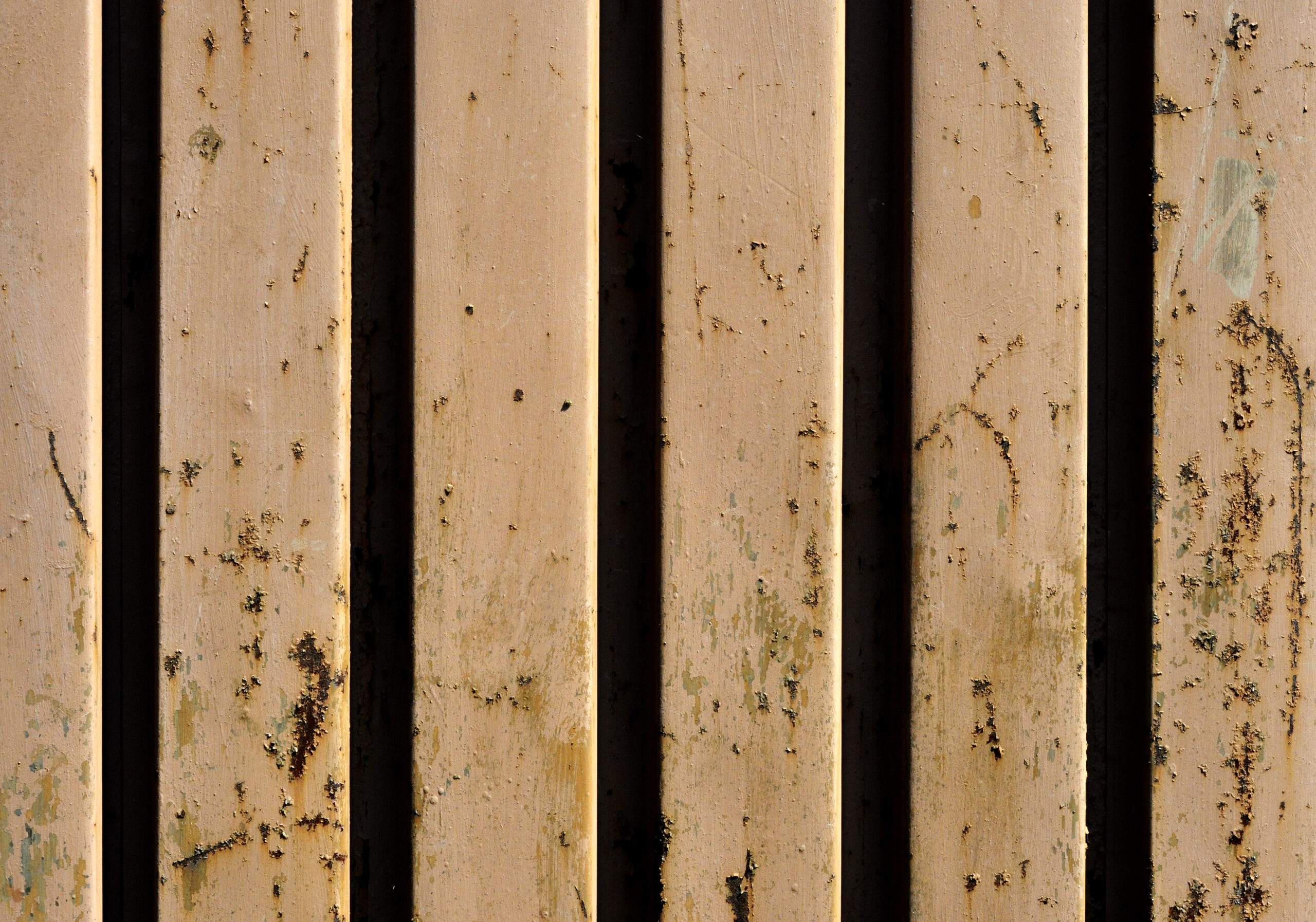 Effective Ways to Protect Wooden Structures with Help from Shashel.en